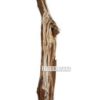 Picture of DECO Solid Teak Floor Standing T112 (120cm Tall)