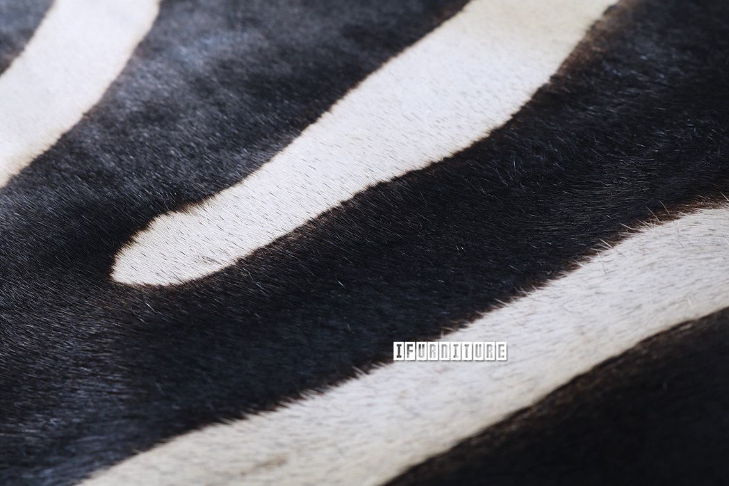 ZEBRA Mat/Carpet * Genuine Cowhide