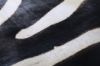 Picture of ZEBRA Mat/Carpet  (Genuine Cowhide)