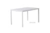 Picture of Butler Dining Table 120 *White/Black  -