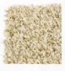 Picture of Grand 120/160/200  Indoor Rug *Made In Belgium *Cream