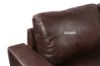 Picture of EARLE Sectional Sofa (Brown)