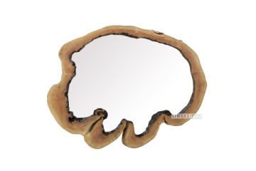 Picture of Tamarind Solid Teak Wood Large Hanging Mirror