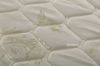 Picture of VISCO Mattress in Single/Queen Size