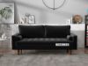 Picture of FAVERSHAM Sofa (Black) - 2 Seat