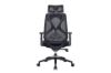 Picture of VALENCIA Ergonomic Office Chair (Black)