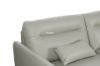 Picture of FREEDOM Sectional Genuine Leather Sofa (Beige)