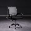 Picture of CITY Office Chair - Black Back