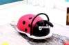 Picture of LADYBIRD KIDS ROLLING TOY