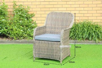 Picture of KAPSTADT ALUMINIUM FRAME Half-Round Wicker Dining Chair