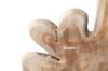 Picture of BARON Solid Teakwood Display Abstract - 40