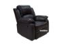 Picture of DOCKLAND Reclining Sofa - 2 Seat (2RR)