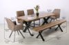 Picture of GALLOP Dining Set - 6 Dining Chairs (Without Arms) + 1 Dining Table