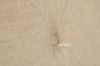 Picture of QUINNY Fabric Lounge Chair (Beige)