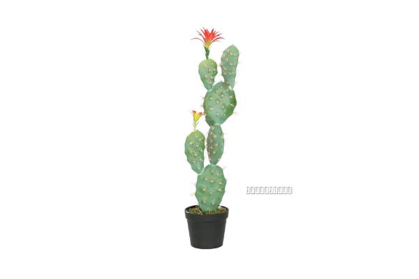 Picture of Desert Star 01 Large Simulated Cactus *Angel Wing with Flower