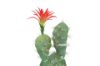 Picture of Desert Star 01 Large Simulated Cactus *Angel Wing with Flower