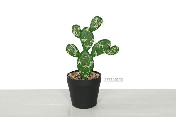 Picture of DESERT Star 03 Small Simulated Cactus (Angel Wing)