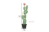 Picture of Desert Star 01 Large Simulated Cactus *Angel Wing with Flower