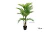 Picture of ARTIFICIAL PLANT Palm (Black Plastic Pot) - H180cm