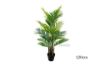 Picture of ARTIFICIAL PLANT Palm (Black Plastic Pot) - H150cm