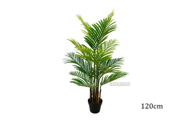 Picture of ARTIFICIAL PLANT Palm (Black Plastic Pot) - H120cm