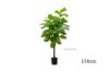 Picture of ARTIFICIAL PLANT Fiddle Leaf (Black Plastic Pot) - 150cm Tall
