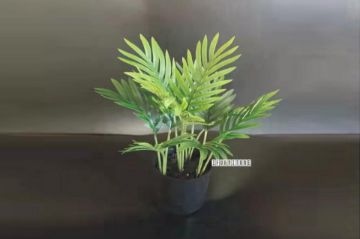Picture of Artificial Plant Palm *Black Plastic Pot - 85cm