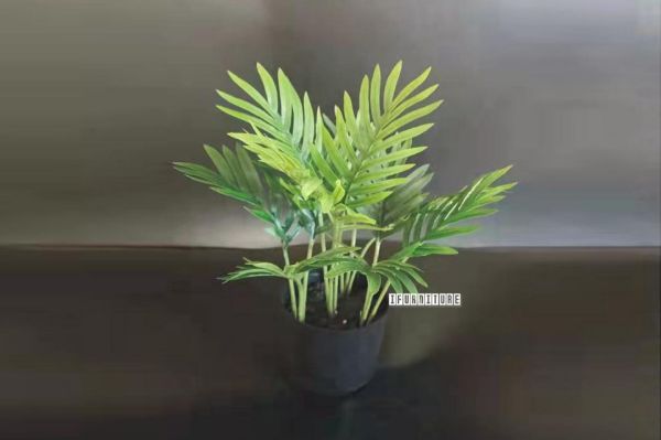 Picture of ARTIFICIAL PLANT 28/85/120cm Palm (Black Plastic Pot)