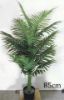Picture of Artificial Plant Palm *Black Plastic Pot - 120cm