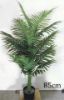 Picture of ARTIFICIAL PLANT 28/85/120cm Palm (Black Plastic Pot)