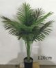 Picture of Artificial Plant Palm *Black Plastic Pot - 120cm