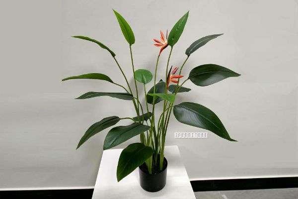 Picture of Artificial Plant 90cm Bird of Paradise With 16 Leaves and 2 Flowers *Black Plastic Pot