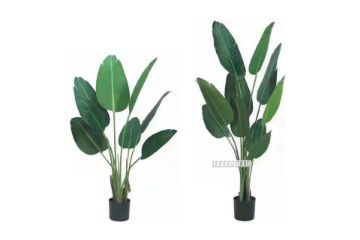 Picture of ARTIFICIAL PLANT Banana Leaf (Black Plastic Pot) - H120cm