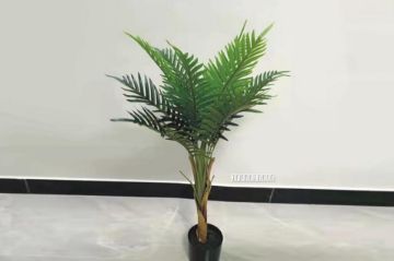 Picture of Artificial Plant 90cm Chrysalidocarpus *Black Plastic Pot