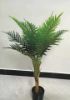 Picture of Artificial Plant 90cm Chrysalidocarpus *Black Plastic Pot