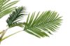 Picture of ARTIFICIAL PLANT PALM (H360cm) - with Square Concrete Pot