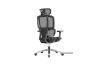 Picture of H2 Yoga Based Ergonomic Chair with 30° Swing Back Function