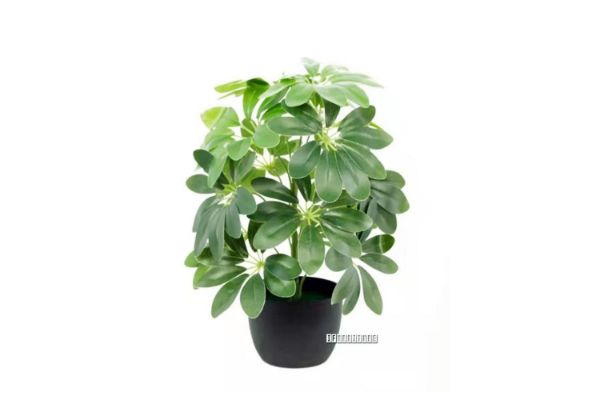 Picture of ARTIFICIAL PLANT 117 Leaves (50cm)