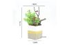 Picture of ARTIFICIAL PLANT 283 with Vase (18cm x 24cm)