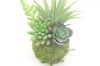 Picture of ARTIFICIAL PLANT 293 with Vase (8x18cm)