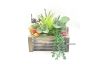 Picture of ARTIFICIAL PLANT 295 with Wooden Look Vase (23cm x 25cm)