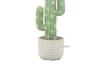 Picture of ARTIFICIAL PLANT 296 Cactus with Brick Look Vase (9cm x 37cm)