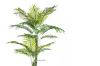 Picture of ARTIFICIAL PLANT Palm - 140cm