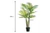 Picture of ARTIFICIAL PLANT Palm - 195cm