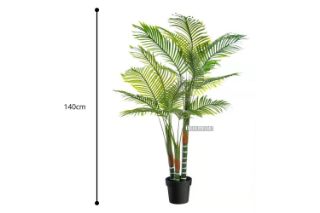 Picture of ARTIFICIAL PLANT Palm - 140cm