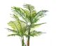 Picture of ARTIFICIAL PLANT Palm - 195cm