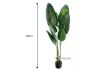 Picture of Tropical Banana Leaf - 180cm