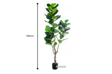 Picture of ARTIFICIAL PLANT Thick Branch Fiddle Leaf (180cm)