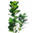 Picture of ARTIFICIAL PLANT Thick Branch Fiddle Leaf (180cm)