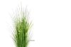 Picture of ARTIFICIAL PLANT Onion Grass (48cm/150cm)